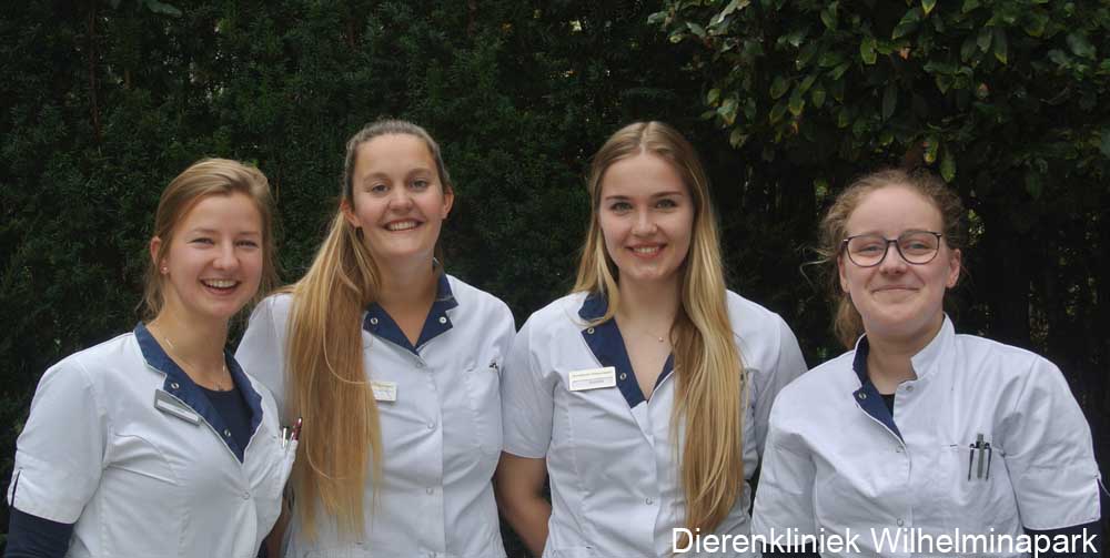 De paraveterinaire assistentes van Dierenkliniek Wilhelminapark in 2023